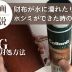 財布が水に濡れたり水シミができた時の直し方とNG対処方法